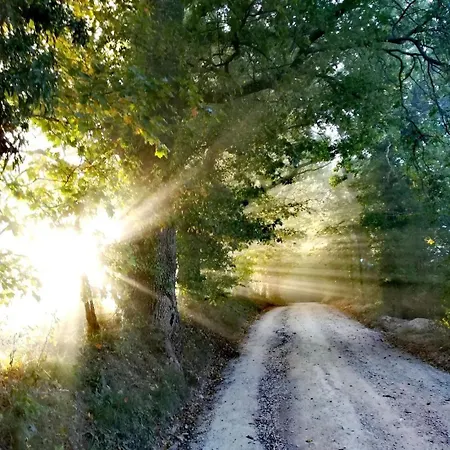 La Quercia Incantata *