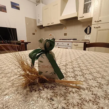 La Quercia Incantata * Camerino